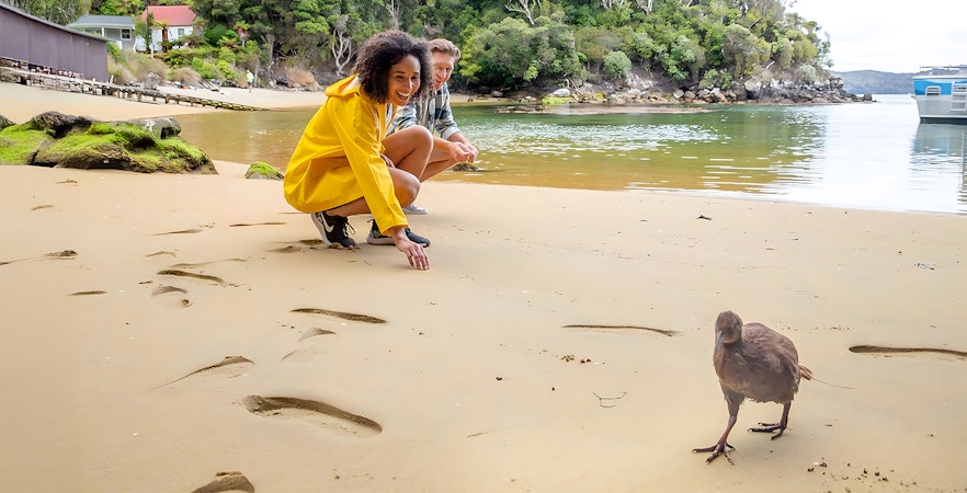 Couple looking at Kiwi bird from a distance at Stewart Island, New Zealand