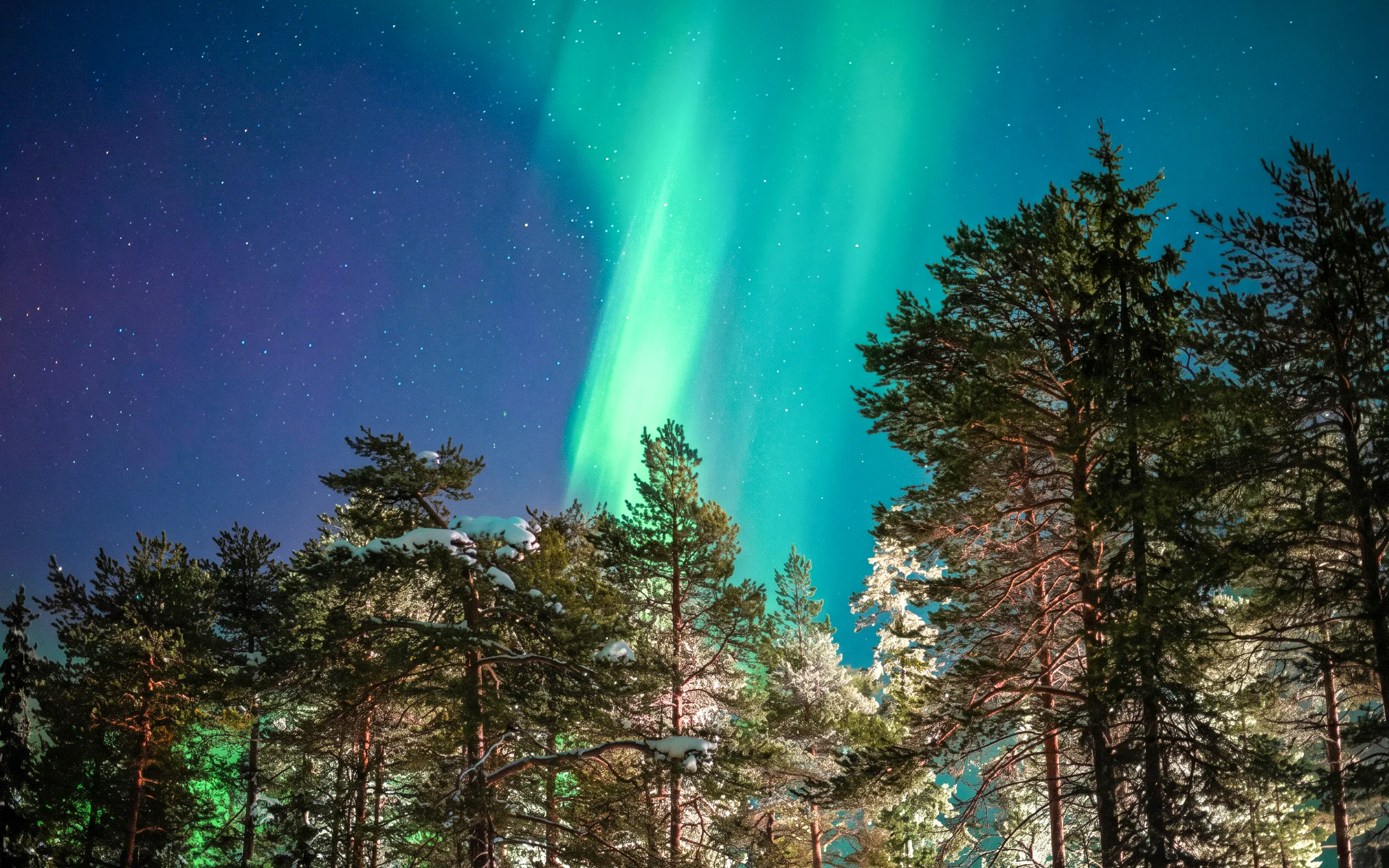 Northern lights over snowy forest in Rovaniemi, Finland.