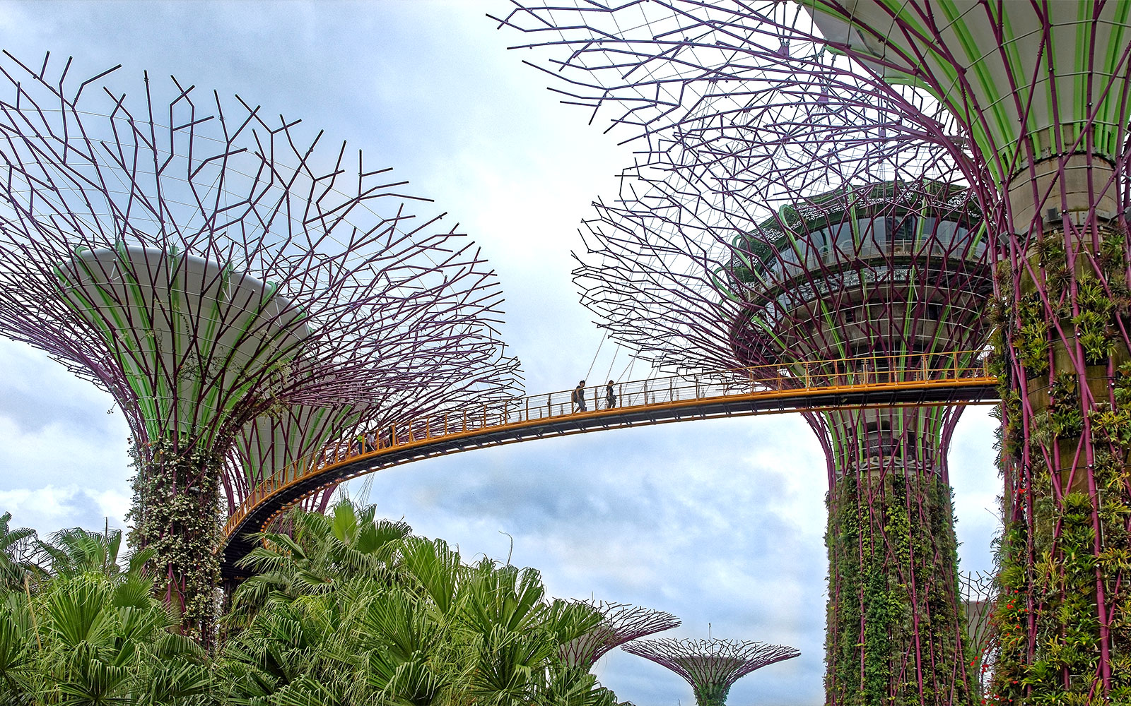 Gardens by the Bay