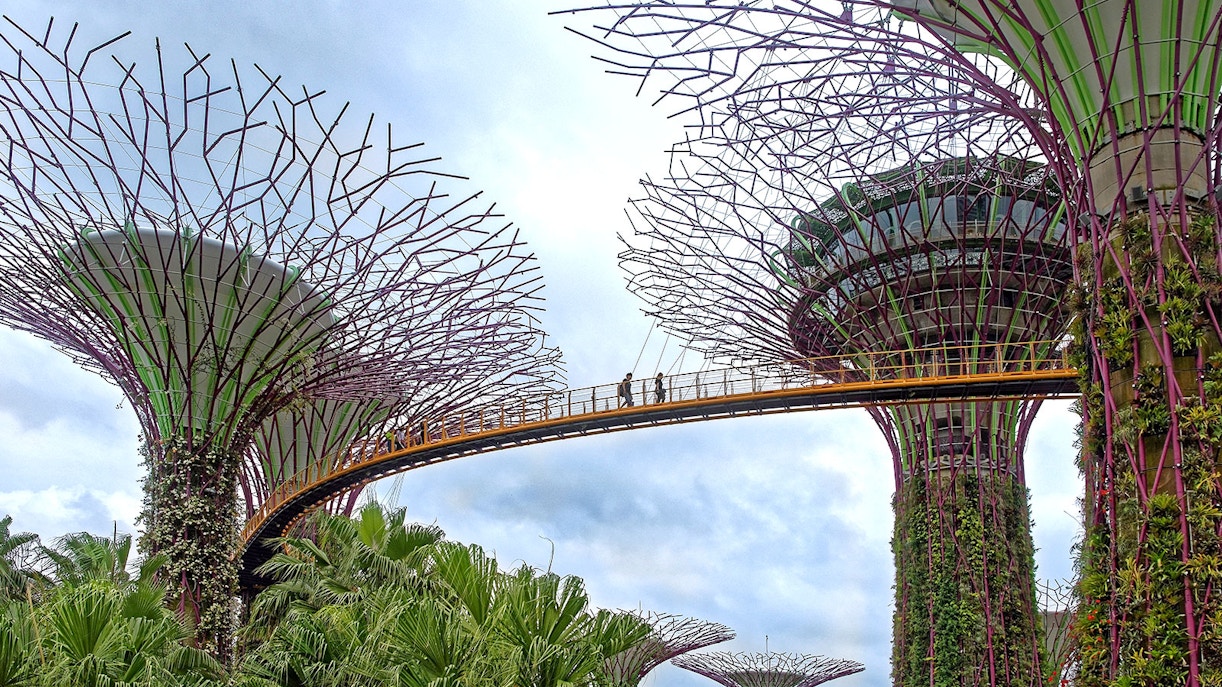 Gardens by the Bay