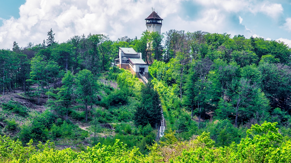 Watchtower Diana surrounded by lush forest in Karlovy Vary, Czech Republic.