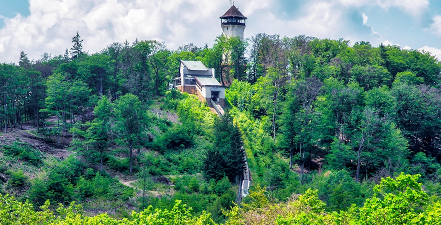 Watchtower Diana surrounded by lush forest in Karlovy Vary, Czech Republic.