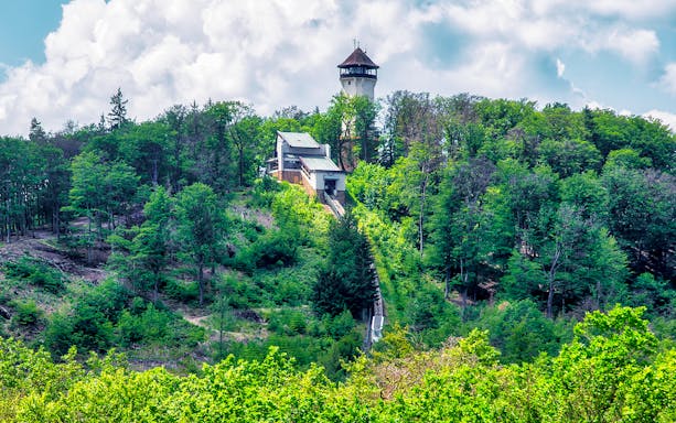 Watchtower Diana surrounded by lush forest in Karlovy Vary, Czech Republic.