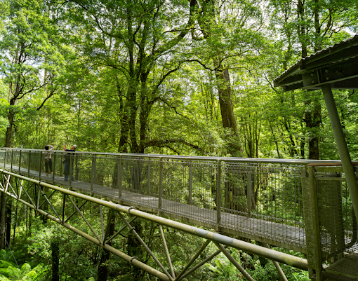 Great Otway National Park
