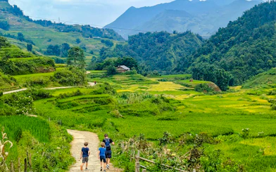 Tourists walking through rice terraces in Y Linh Ho, Sa Pa.