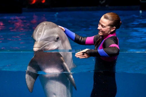 Georgia Aquarium Skip-the-Line Tickets