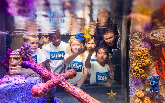 Children exploring an aquarium exhibit at SEA LIFE Orlando with the Orlando Explorer Pass.
