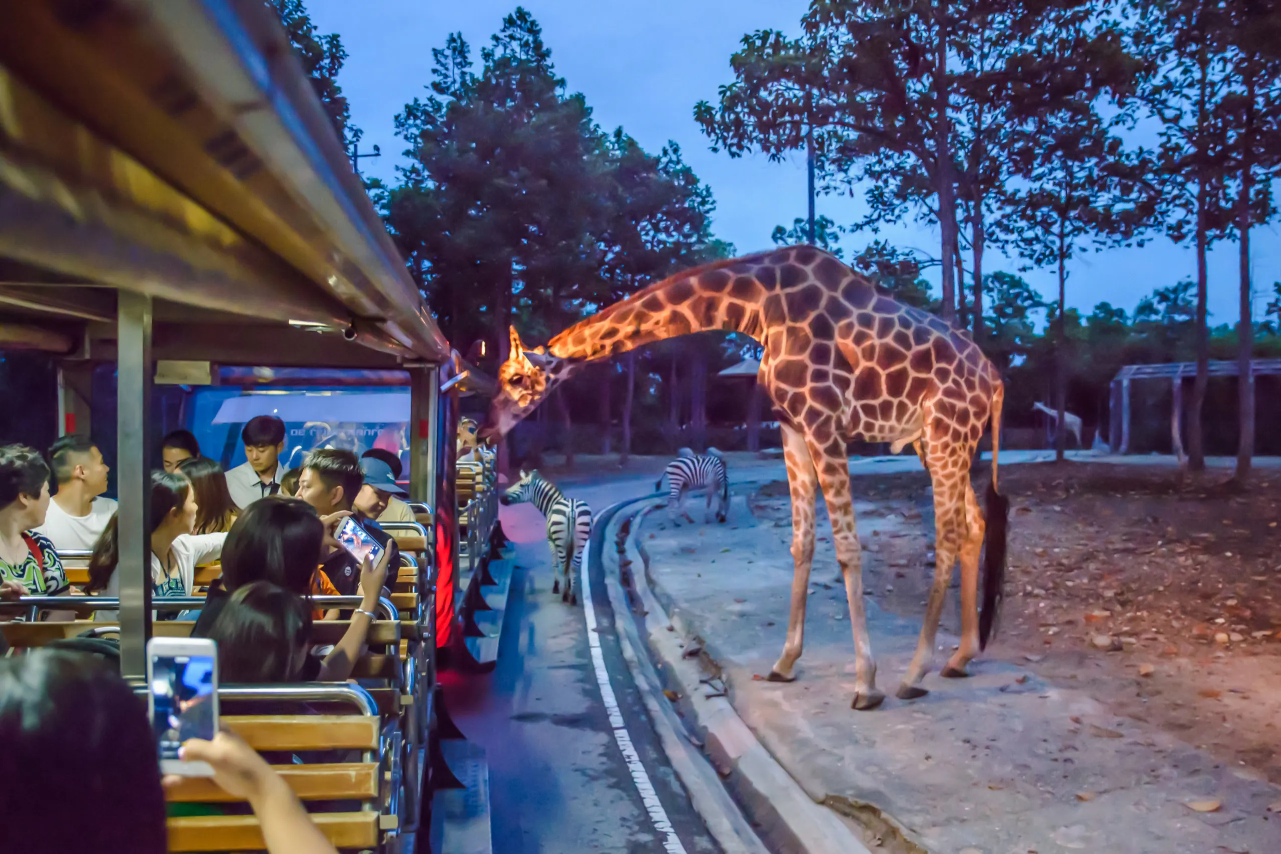 bilety na nocne safari w chiang mai z transportem tramwajem-1