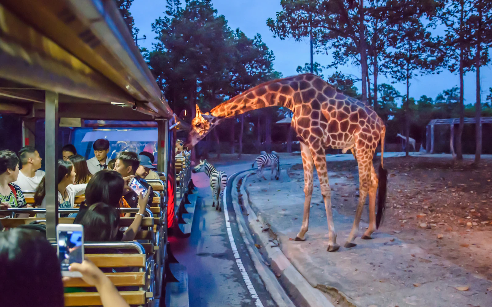 Chiang Mai Night Safari Tickets with Tram Rides