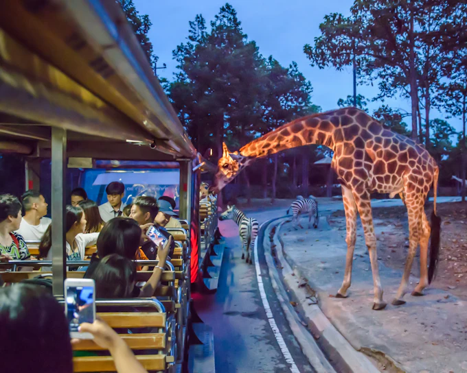 Chiang Mai Night Safari Tickets with Tram Rides