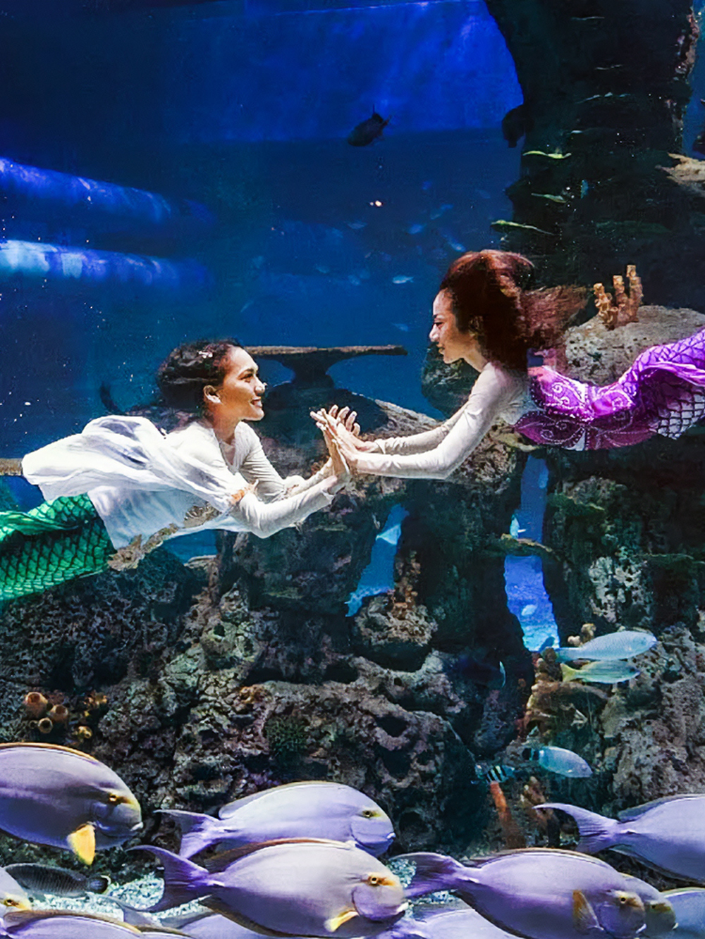 Jakarta Aquarium Safari