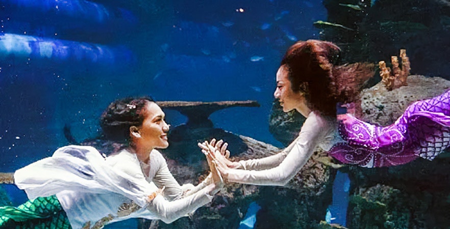 Jakarta Aquarium Safari