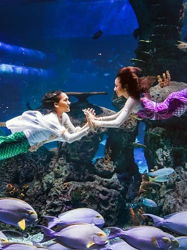 Jakarta Aquarium Safari