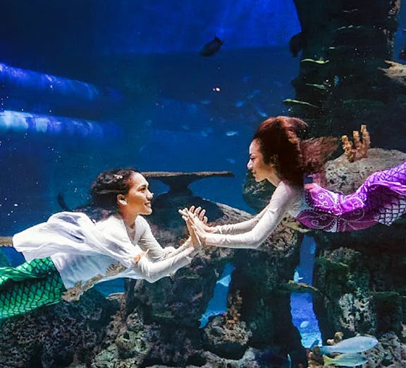 Mermaids performing underwater at Jakarta Aquarium Safari.