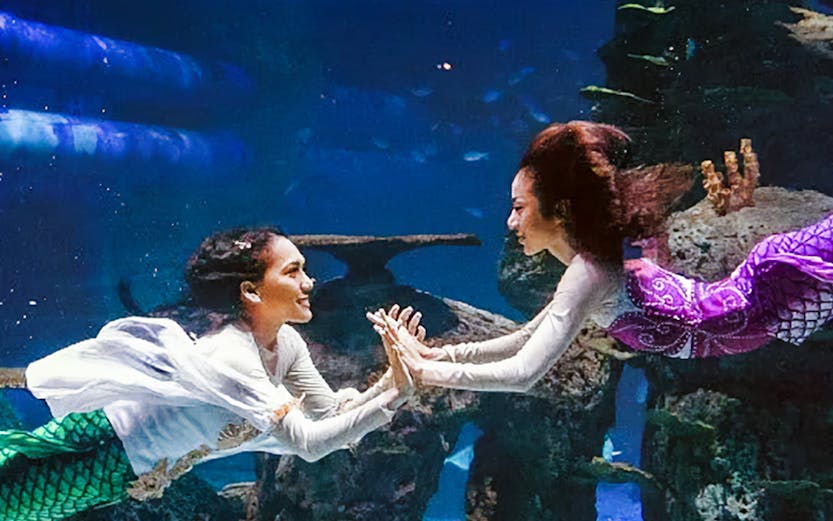 Mermaids performing underwater at Jakarta Aquarium Safari.
