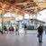 Masaryk Train Station