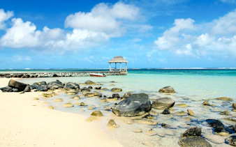 bel ombre plajı'nda at binme etkinliği ve öğle yemeği dahil, mauritius'un güneybatı bölgesi özel turu-18