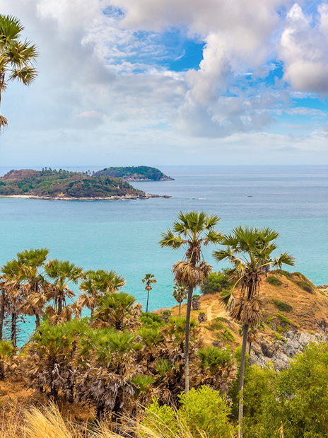 Promthep Cape Thailand with palm trees overlooking the ocean and rocky coastline.