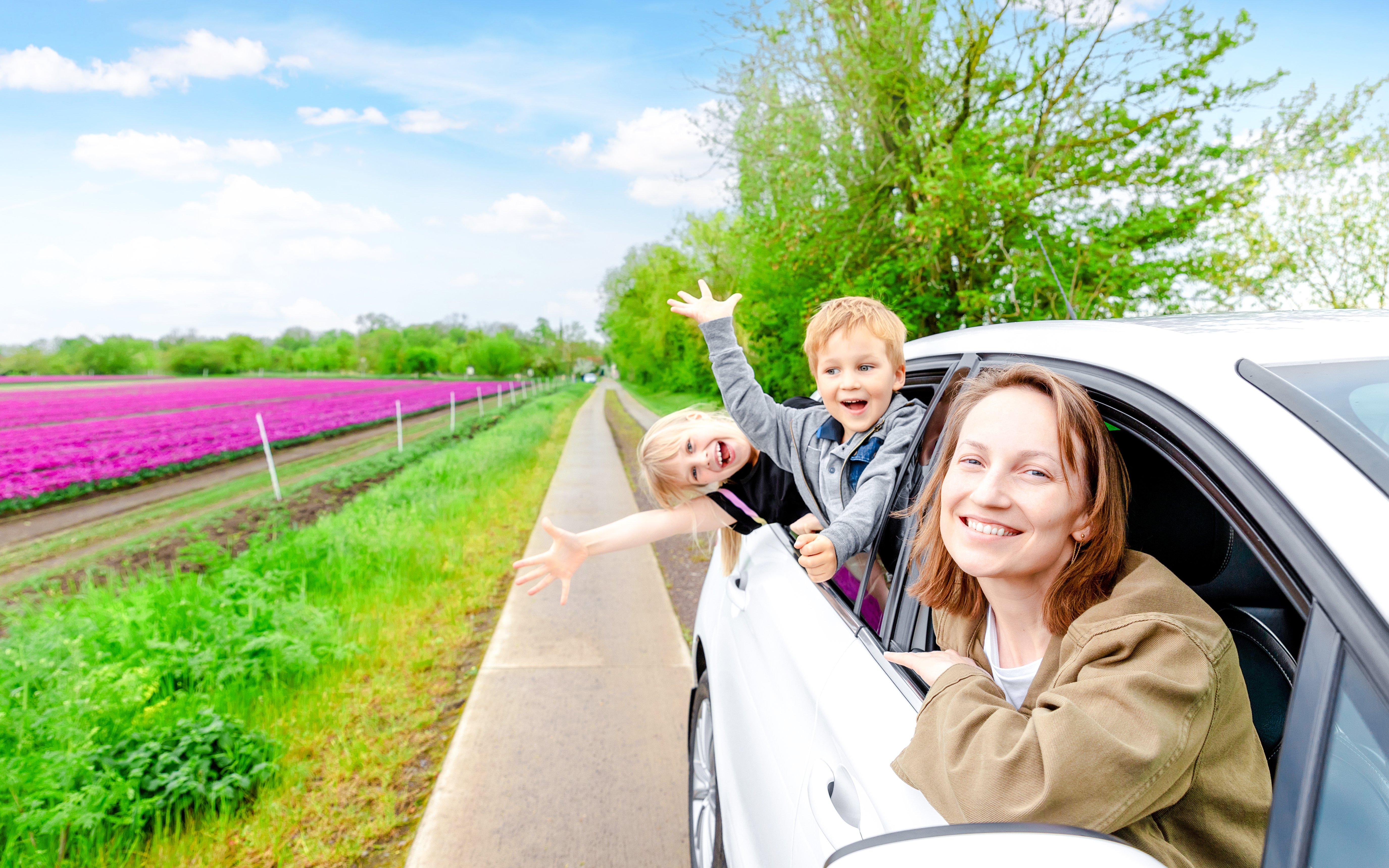 Family enjoying a car ride through Amsterdam countryside with tulip fields.