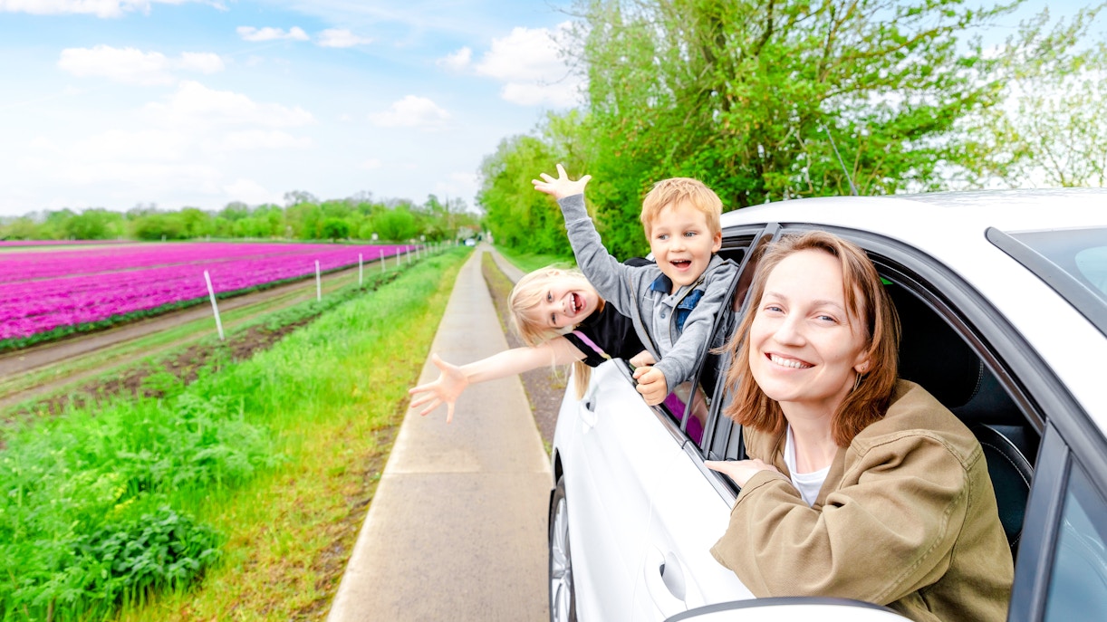 Family enjoying a car ride through Amsterdam countryside with tulip fields.