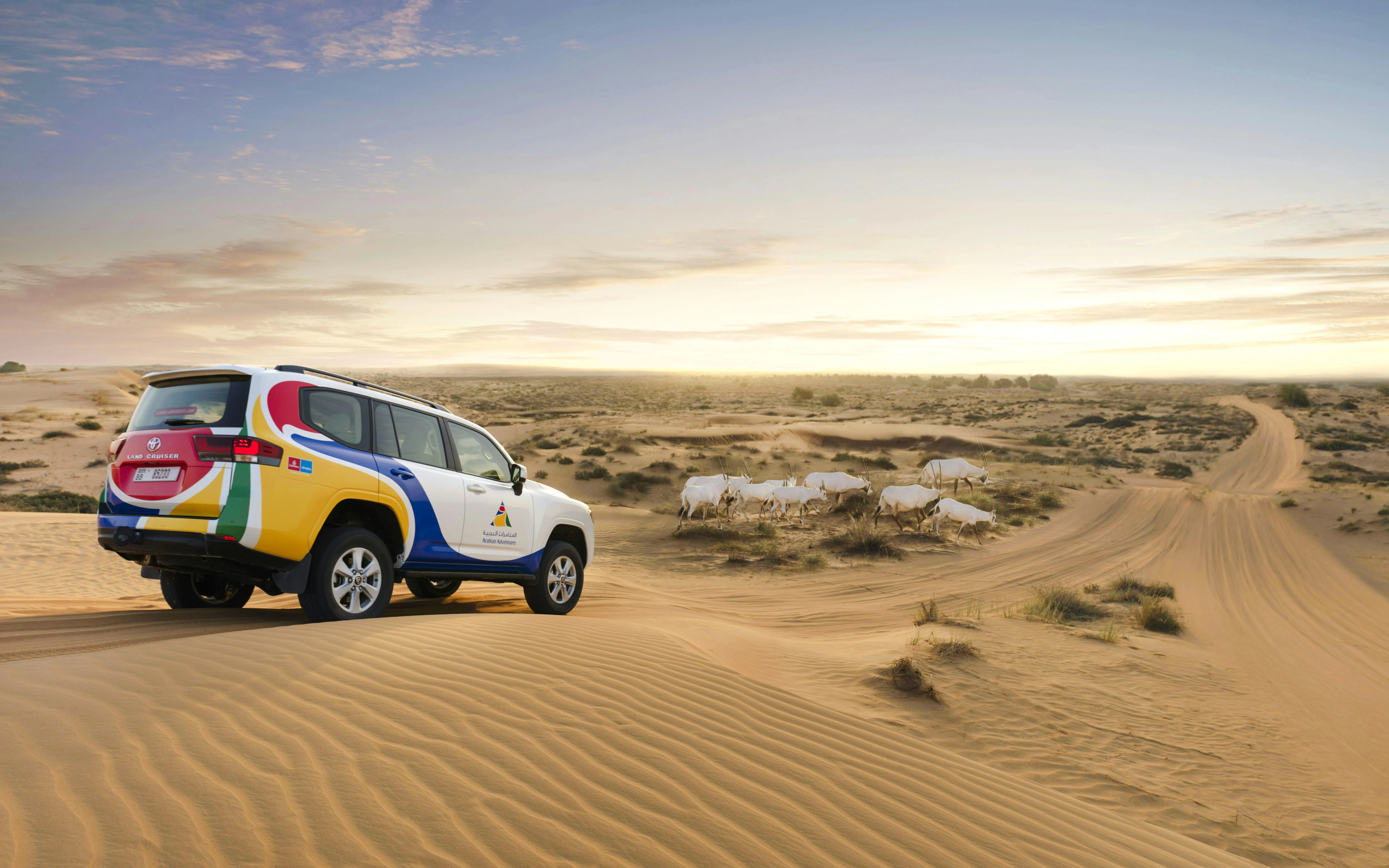SUV driving on sand dunes during a desert safari with oryx in the background.