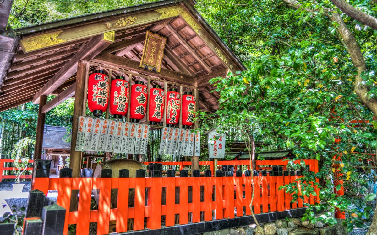 sagano bamboo grove and arashiyama walking tour-6 sagano bamboo grove and arashiyama walking tour-6