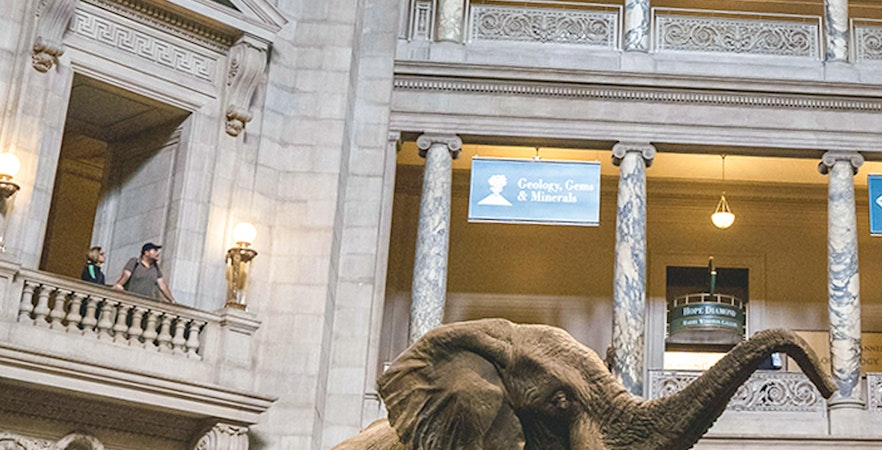 Musée américain d'histoire naturelle