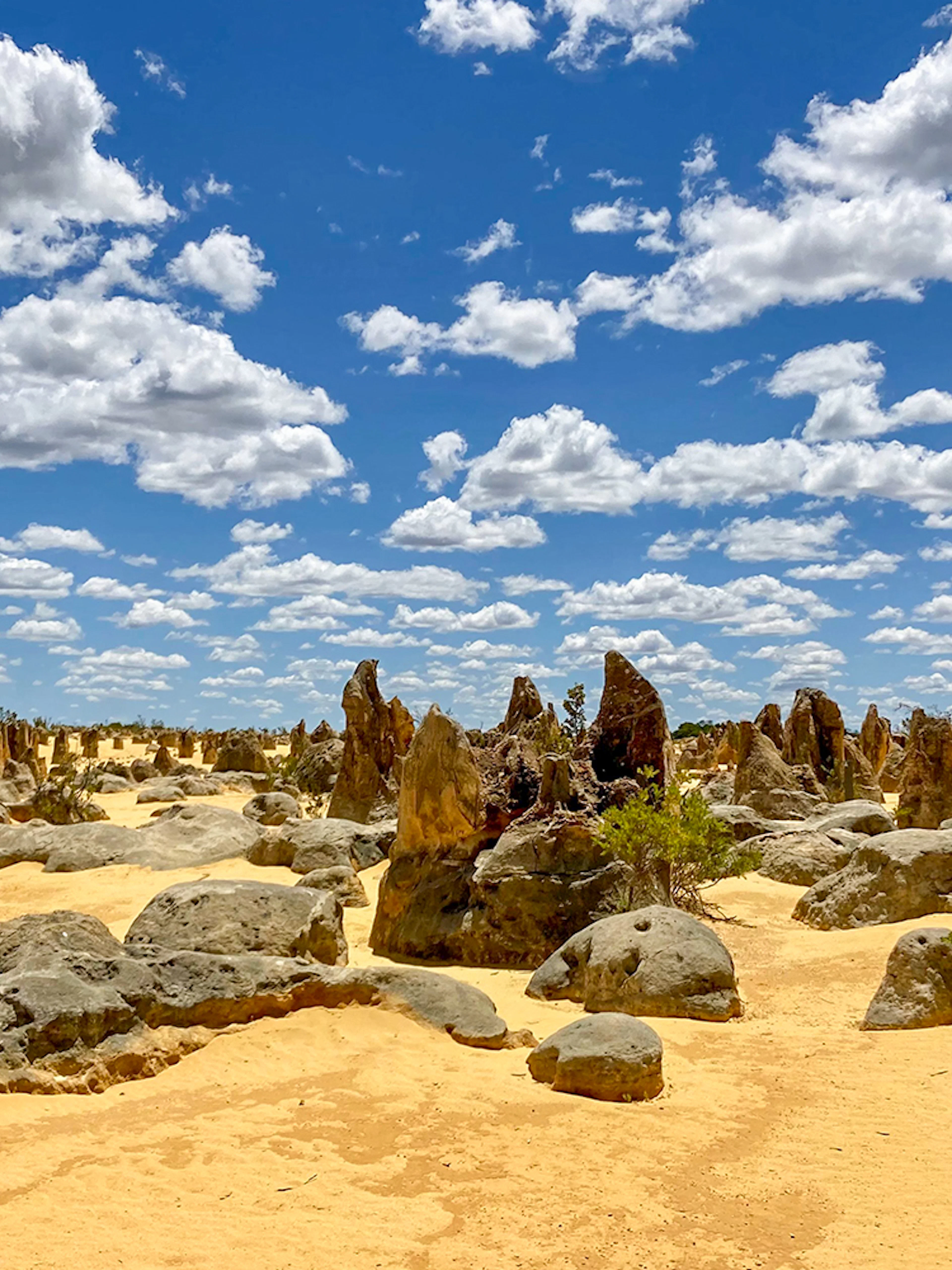 Pinnacles Desert limestone formations under a blue sky, Australia.