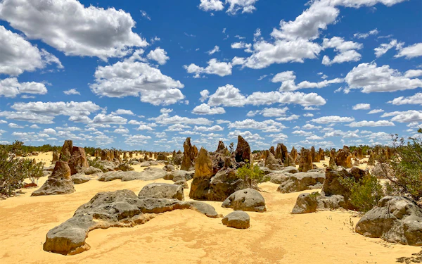 10-Hour Guided Tour of Australia's Pinnacles with Lunch & Round-Trip Hotel Transfers