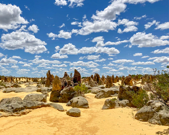 10-Hour Guided Tour of Australia's Pinnacles with Lunch & Round-Trip Hotel Transfers