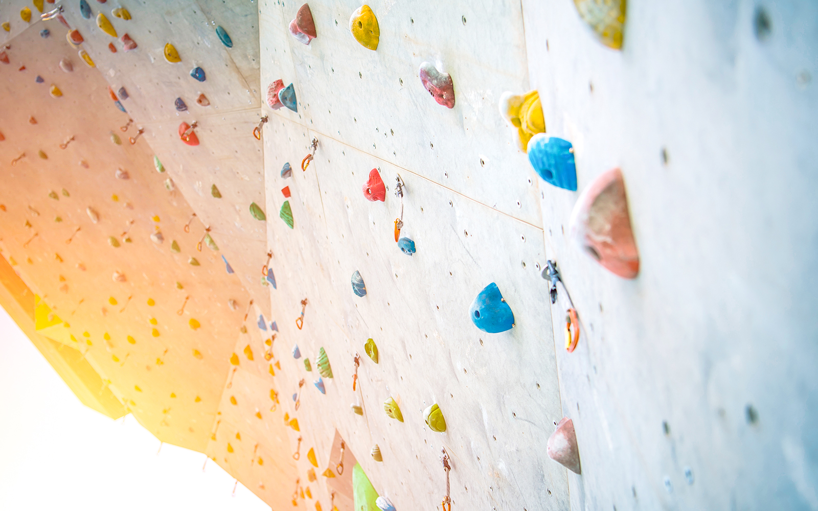 Nature Play Area for Kids - Koala Conservation Reserve