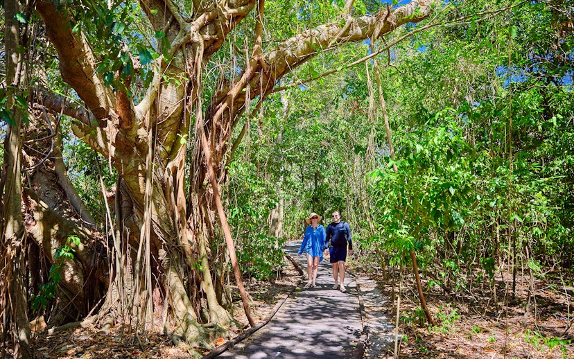 Couple walking on a forest path on Fitzroy Island, surrounded by lush greenery.