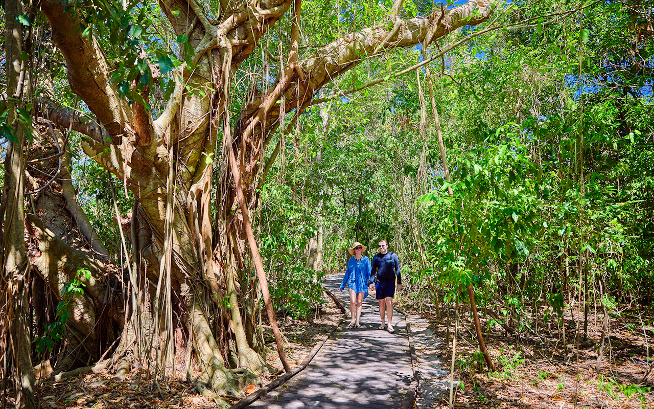 Au départ de Cairns : excursion d'une journée sur deux îles (Fitzroy et Green Island) — 4