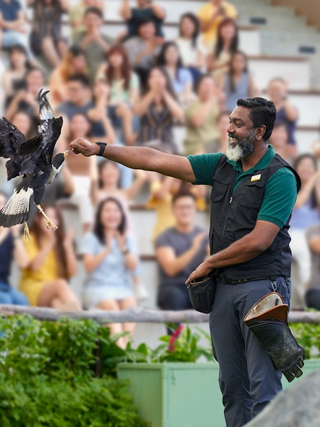 Trainer interacting with a bird during a show at Bird Paradise, Singapore.
