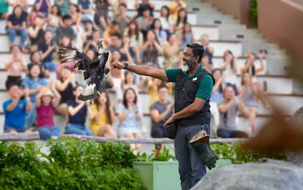 Book River Wonders and Bird Paradise Tickets | Singapore