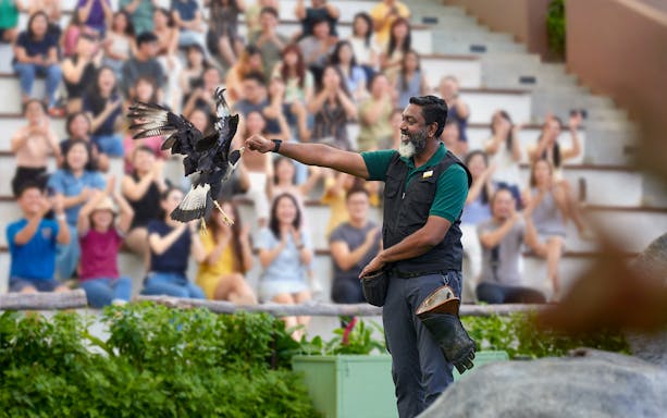 Trainer interacting with a bird during a show at Bird Paradise, Singapore.