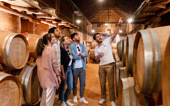 Tourists with guide in a Toledo winery, surrounded by wine barrels.