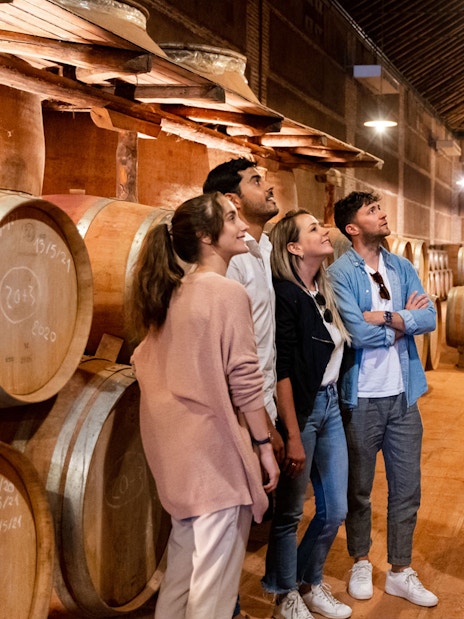 Tourists with guide in a Toledo winery, surrounded by wine barrels.