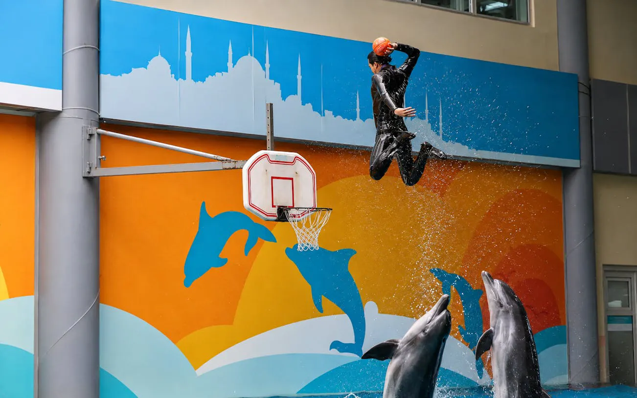 Performer jumping with basketball above dolphins at Istanbul Dolphinarium.