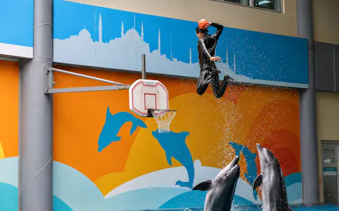 Performer jumping with basketball above dolphins at Istanbul Dolphinarium.