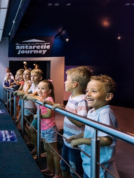 Children watching penguins swim at Sea World's Antarctic Journey exhibit.
