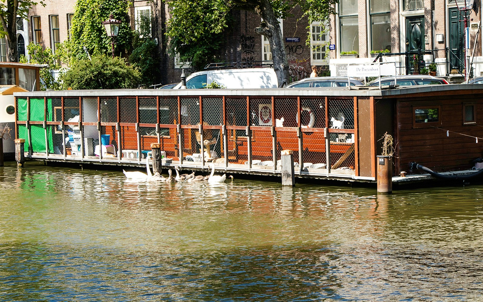 cat boat, amsterdam