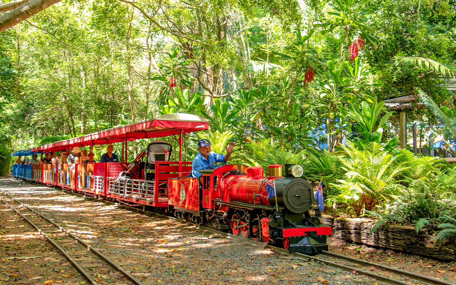 Currumbin Wildlife Sanctuary train ride through lush greenery.