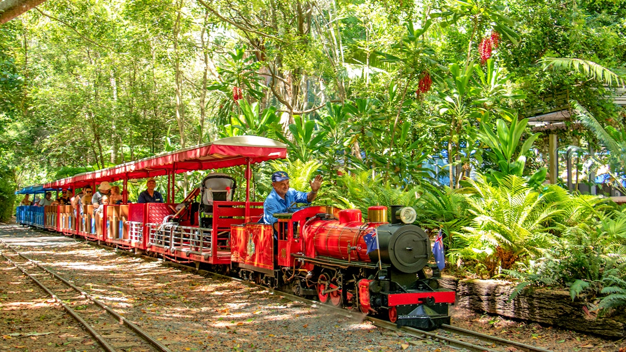 Visitors enjoy a train ride through the lush greenery of Currumbin Wildlife Sanctuary in Gold Coast