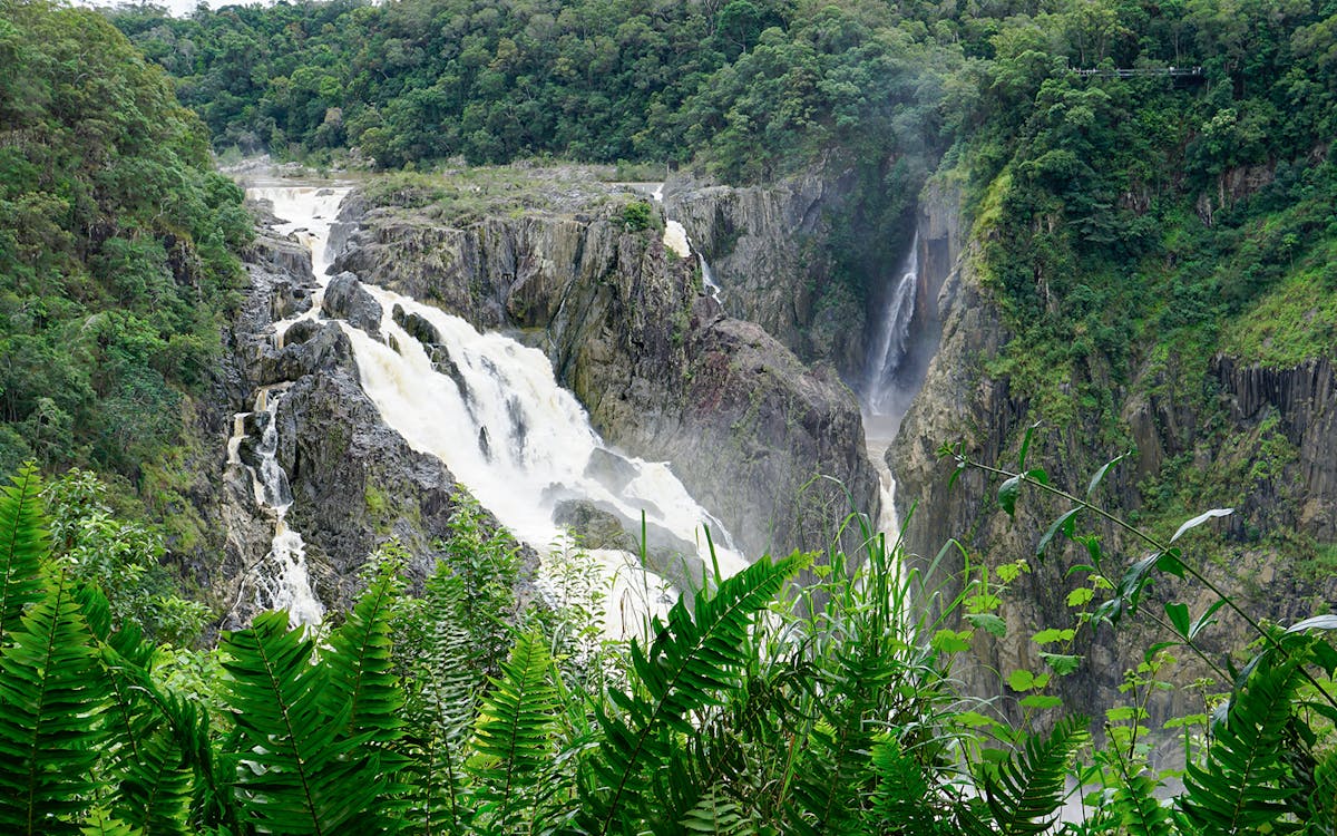 full-day tour of kuranda: skyrail, rainforestation, lunch and scenic rail-6 full-day tour of kuranda: skyrail, rainforestation, lunch and scenic rail-6