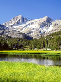 Easter Holiday Destinations - Muir Woods and Sausalito