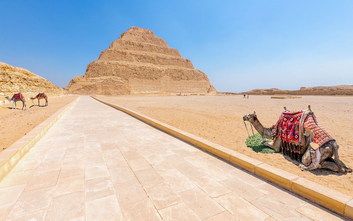 Step Pyramid of Djoser with camels in Saqqara, Egypt.