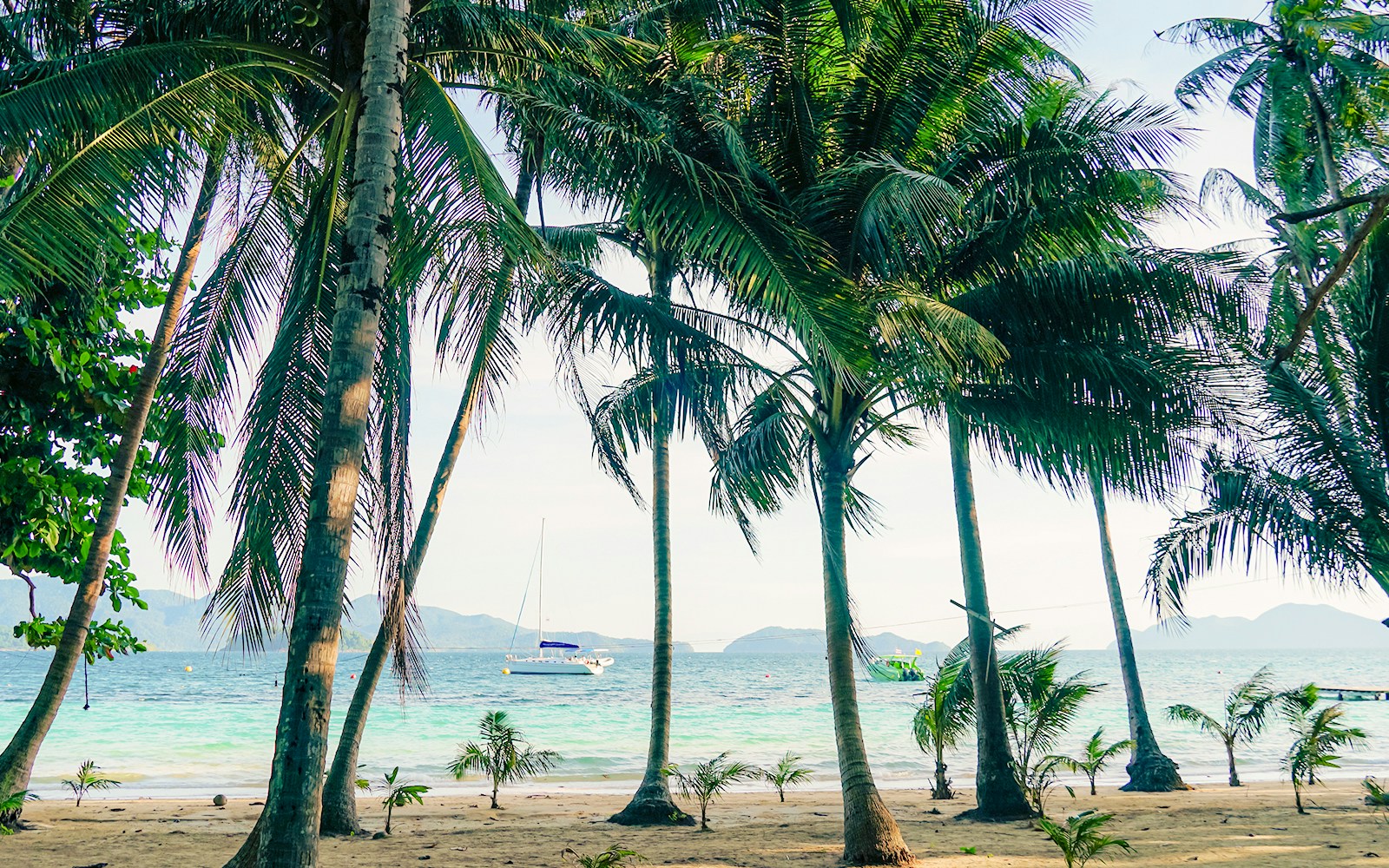 Tropical white sand beach with coco palms and the turquoise sea at Bamboo Island, thailand