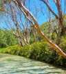 Awinya Creek
