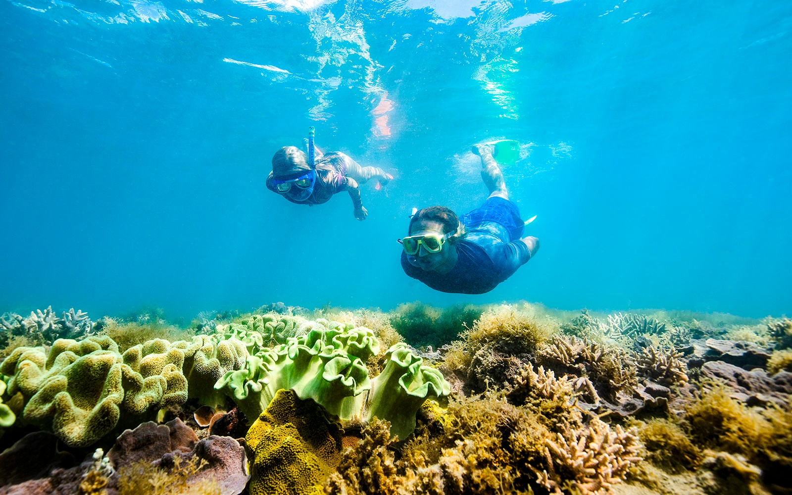 Snorkelers exploring coral reef in Whitsundays, Australia.
